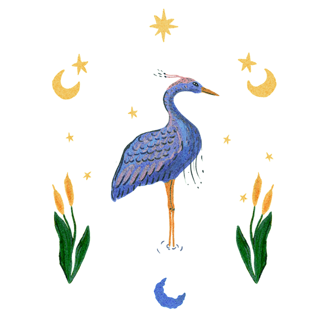 illustration-heron-bleu