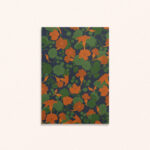 Mini affiche A6 florale et colorée Capucines
